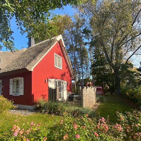 Ferienhaus Stella Glowe Eksteriør billede
